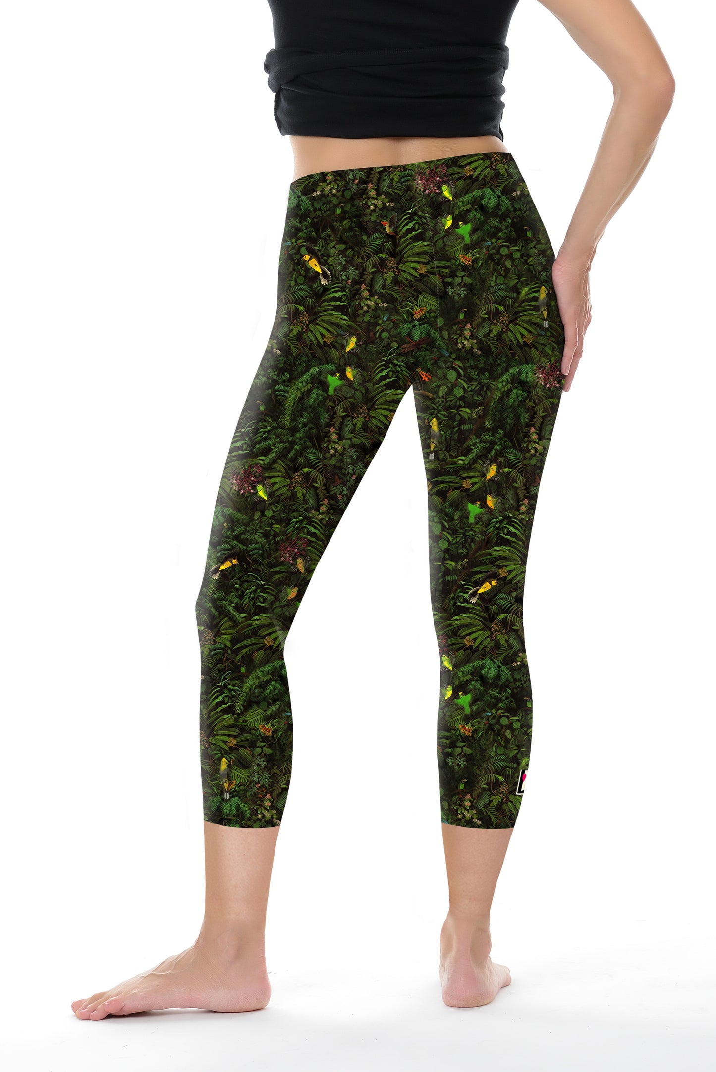 capri Leggins