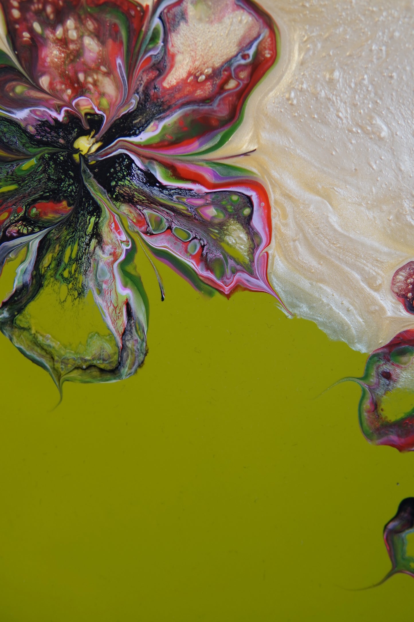 Bild „Goldblumen“