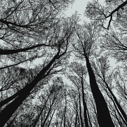 Hoodiekleid Winterzauber schwarz Nebelwald